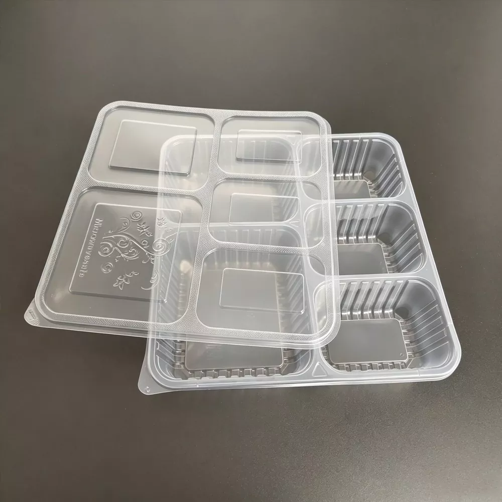Reusable Plastic Lunch Box with Compartments