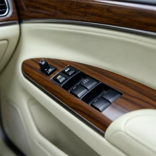 Plastic Wear-Resistant Automotive Interior Trim Buttons Plastic Wear-Resistant Automotive Interior Trim Buttons